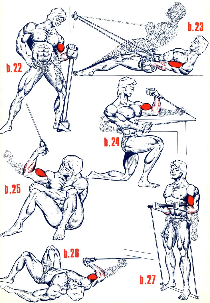 bullworker x5 exercises pdf